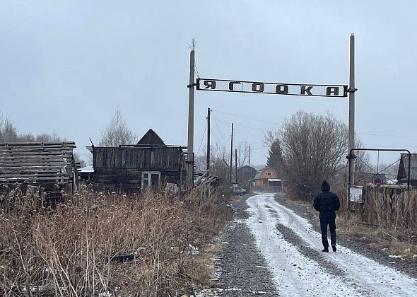 Человеческая голова была обнаружена за пределами «Ягодки», а принести ее туда могли собаки