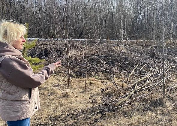 «Круг замкнулся». Чтобы добиться уборки срубленных в прошлом году веток, серовчанке пришлось обратиться в несколько инстанций