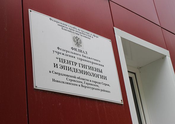 В Серове вырос показатель заболеваемости сальмонеллезом