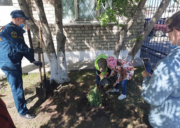 Серовские спасатели и дошколята высадили ели возле пожарной части 