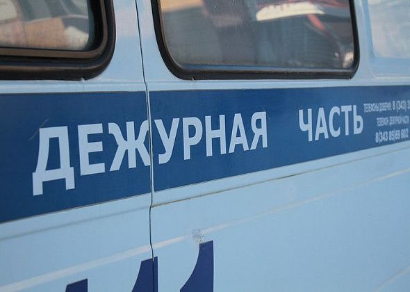 В Серове мужчину обвиняют в применении насилия в отношении полицейских. Неопасного и опасного