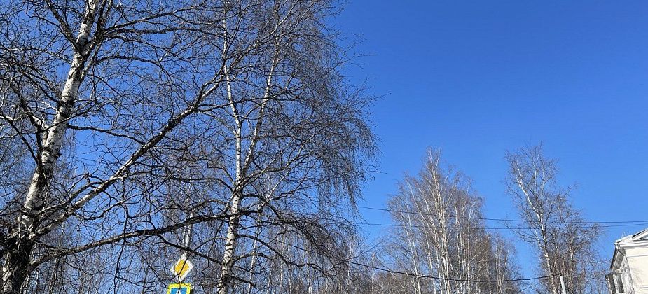 Апрель на севере области начнется мокрым снегом с дождем