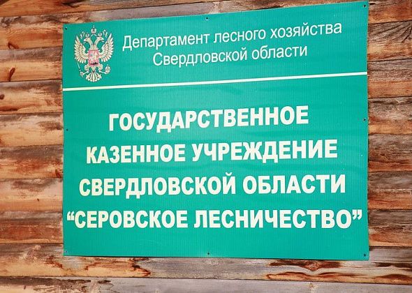 Власти Серова ввели дополнительные требования пожарной безопасности в период особого противопожарного режима