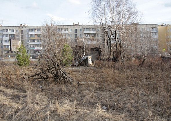 "Бродячие собаки - те же бомжи". Кто и зачем строит в Серове будки для бездомных животных?