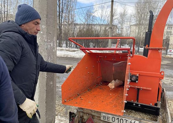 “Пилим и измельчаем”. В Серове началось кронирование деревьев